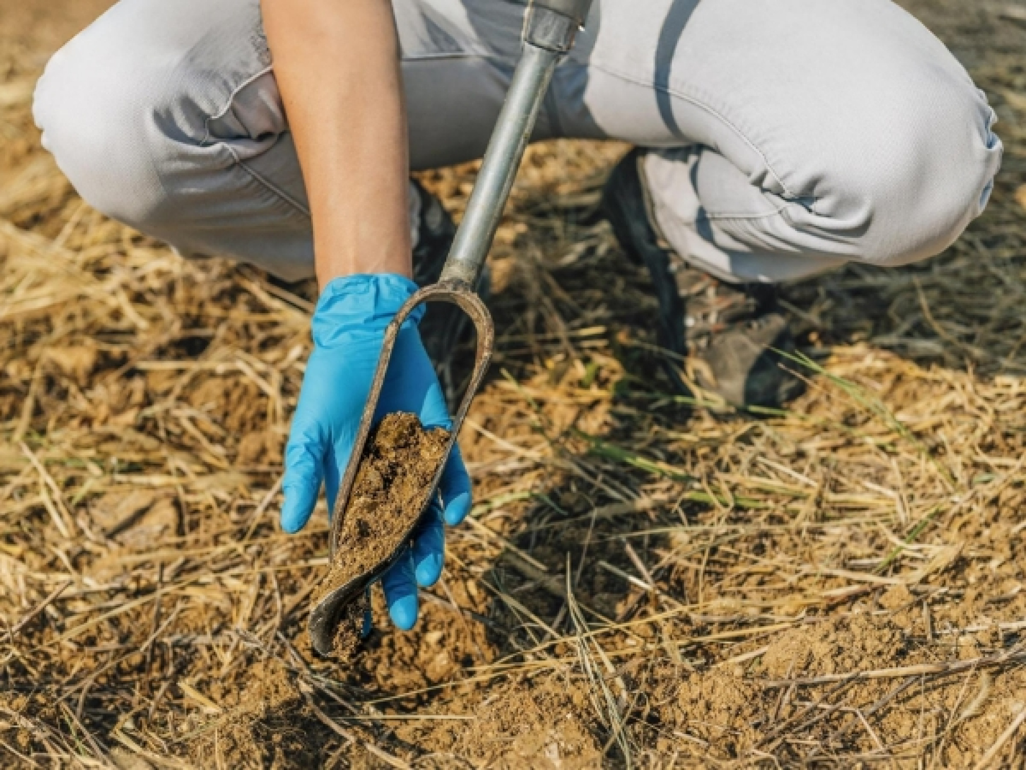 Bodemonderzoek kosten op basis van grondmonster