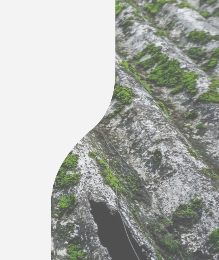 Asbestdaken | Inventerra